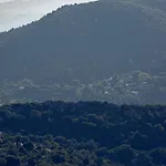 The Elegant Mill * Platístoma