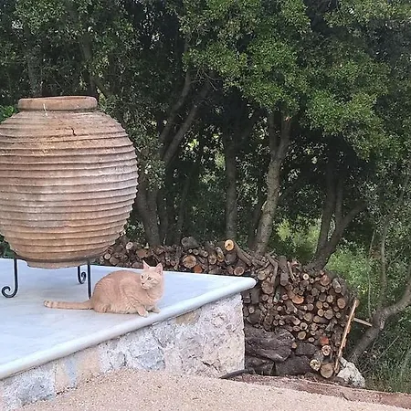 Villa The Elegant Mill *