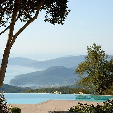 The Elegant Mill Platístoma