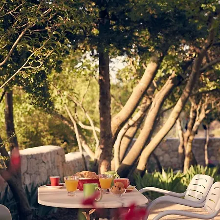 The Elegant Mill * Platístoma