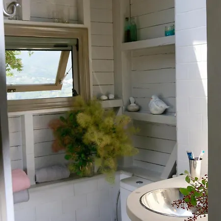 The Elegant Mill * Platístoma